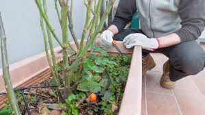 Dann wird ihnen diese anleitung weiterhelfen: Urlaubsbewasserung Fur Pflanzen Systeme Fur Balkon Garten Stern De