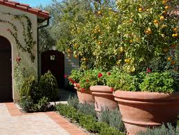 We did not find results for: Get Ready For Spring Tips For Growing A Lemon Tree Better Housekeeper