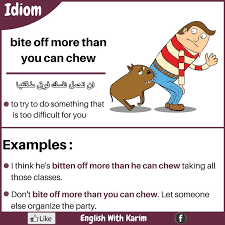 Bite Off More Than You Can Chew Idiom Meaning Pin By Yaowaporn Roojittawiwat On Idioms English Phrases Idioms English Idioms Learn English Words