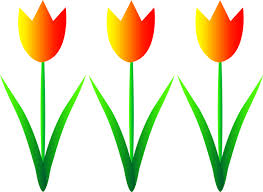 Gambar Bunga Tulip Png Free Download Free Transparent Png Logos