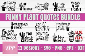 Download Plant Svg Bundle Funny Cactus Quotes Bundle Svg Png Eps 1134656 Cut Files Design Bundles