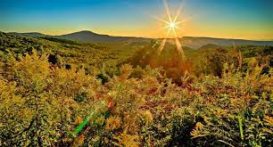 Our luxury cabins will give you a vacation to remember! Top 5 Reasons To Choose A Vacation Rental In Cashiers Nc