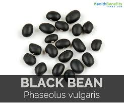 They're naturally gluten free and can be health benefits of white beans: Black Bean Facts Health Benefits And Nutritional Value