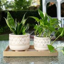 Shop the most beautiful things on earth. Pot Feet Wayfair