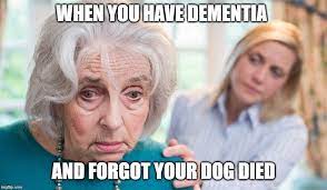 An element of a culture or system of behavior that may be considered to be passed. Dementia Memes Gifs Imgflip