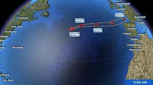 Image result for Tragia kirkiana