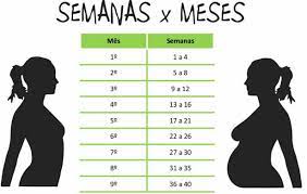 As Semanas E Os Meses De Gravidez Cola Da Web