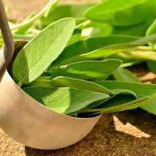 La finalidad del líquido es evitar el movimiento brusco y repetitivo de la brújula, por lo que ofrece una lectura más estable. 4 Plantas Medicinales Para Calmar Y Regular Tu Menstruacion