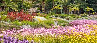 Australia Botanical Garden In 2020 Royal Botanic Gardens Sydney Botanical Gardens Australian Garden