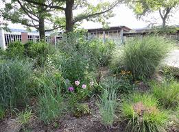 Последние твиты от sophia diamond tiktok (@sophia_ilysm). Ghs 4th Quarter Honor Roll And High Honor Roll Greenwich Free Press