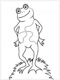 Set off fireworks to wish amer. Frogs Free Printable Coloring Pages For Kids