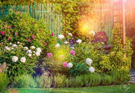 Check spelling or type a new query. Sunny Flowering Backyard Garden Summer Garden Flowers Stock Photo Picture And Royalty Free Image Image 60767242