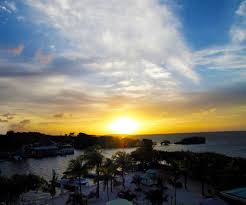 Since 2005, we've welcomed guests to a gorgeous and intimate resort. Official Homepage For Dove Creek Resort In Key Largo Fl Dove Creek Resort