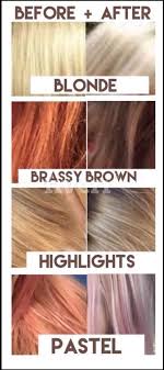 First off, this silver shampoo collection is salon quality but. Pin On Purple Shampoo