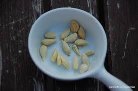 Comment Obtenir De Beaux Citronniers En Gardant Les Pepins De Citrons Graines De Citron Planter Des Graines De Citron Citronnier