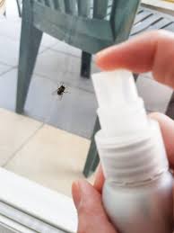 Citronnelle, eucalyptus, menthe pouliot ou 13. Comment Realiser Soi Meme Son Repulsif Mouches