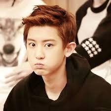 Tarian ini biasa ditarikan oleh seorang penari pria, dalam perkembangannya tari ngremo dapat ditarikan oleh. Tari Srikandi Berasal Dari Jawa Tengah Jawa Tengah Bagian Manakah Itu Brainly Co Id