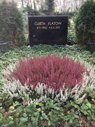 A number of amusing and more serious misunderstandings arise from this situation. Curth Flatow Wikipedia