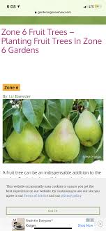 In zone 5 there are more options such as peaches, mulberries, and paw paws. Site Verification Fruit Trees Fruit Plants Planting Fruit Trees