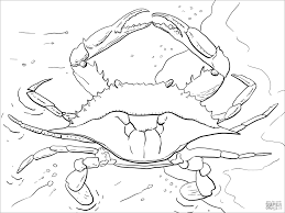 Cute crab on the beach coloring page. Realistic Crab Coloring Page For Adult Coloringbay