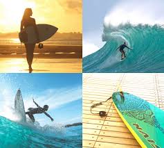 A new surfboard should always be a rational investment decision. 11 Essential Accessories To Buy With Your New Surfboard Surf Learner