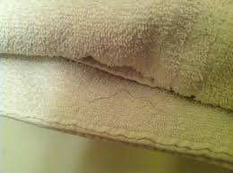 Le premier moyen de lutte contre les morpions est la prévention Un Poil De Pubis Dans La Serviette Picture Of Brit Hotel Lyon Eurexpo Bron Tripadvisor