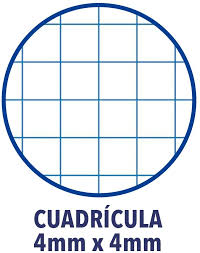 Per stampare i quadretti dovrai usare i modelli di microsoft word che ti segnalerò nel paragrafo successivo del tutorial. 1 Risma Copertina Morbida Colori Assortiti Basics Carta Da Stampa Multiuso A4 80gsm 500 Fogli Enri 100430102 Set Di 10 Quaderni Con Rilegatura A Spirale Semplice Quadretti Bianco Blocchi Appunti Taccuini