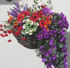 We did not find results for: Artificial Hanging Baskets The Artificial Flowers Company Artificial Hanging Baskets Hanging Flower Baskets Hanging Flowers