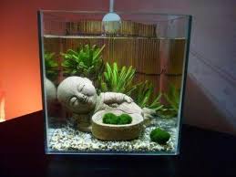 14 Diy Aquarium Ideas For Aquarists Kelly S Diy Blog Diy Fish Tank Diy Aquarium Aquarium Decorations
