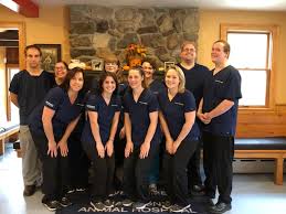 The pet's primary care veterinarian. Harmony Animal Hospital Veterinarian In Phillipsburg Nj Usa Our Staff