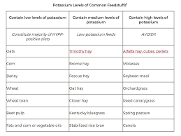 diet chart for hypp horse horses oat hay horse love