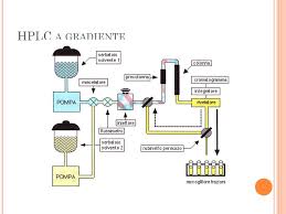 We did not find results for: Cromatografia Liquida Ad Alta Pressione Ppt Video Online Scaricare