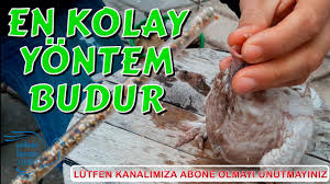 En Pratik Yavru Guvercin Besleme Teknigi Youtube