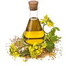 Canola Oil Manufacturers Suppliers In India