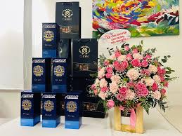 HỌP MẶT ĐẠI LÝ APOLLO SILICONE TP. NHA TRANG 2022