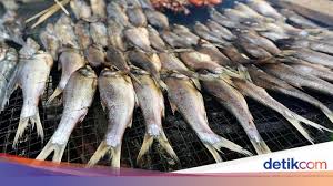 Maybe you would like to learn more about one of these? Foto Bertahan Hidup Dengan Jualan Ikan Di Perbatasan