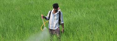 This is why observing is so important to. Pesticide Management Bill 2020 Must Address Important Concerns