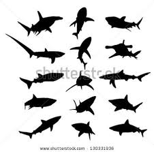 Black And White Shark Design Shark Tatoo Http Www Shutterstock Com Pic Mhtml Id 130331936 Shark Silhouette Shark Tattoos Shark Images