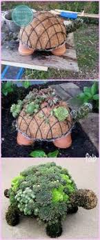 Diy Sukkulenten Schildkrote Tutorial Video Garten Design In 2020 Hinterhof Garten Ideen Garten Design Hinterhof Garten