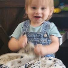 Disabled pet owner defends dog care