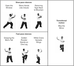 As nouns the difference between fit and fitness is that fit is the degree to which something fits or fit can be (archaic) a section of a poem or ballad or fit can be a seizure or convulsion while fitness is the condition of being fit, suitable or appropriate. Effects Of A Short Term Cardio Tai Chi Program On Cardiorespiratory Fitness And Hemodynamic Parameters In Sedentary Adults A Pilot Study Sciencedirect