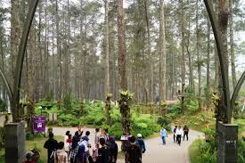 Pokoknya, anda nggak akan kehabisan alasan untuk liburan ke bandung. 10 Tempat Wisata Bandung Yang Sudah Buka Saat New Normal Halaman All Kompas Com