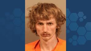 Sheriff: Man shoots and kills girlfriend's pet pig during domestic dispute