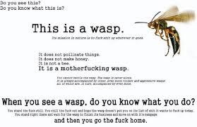Always Run Wasp Just For Laughs Bee