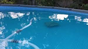 Intex Automatic Pool Cleaner Setup Review Youtube Pool Best Automatic Pool Cleaner Intex Pool Cleaner