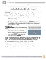 Student exploration circulatory system answer key pdf access free. Copy Of Student Exploration Digestive System Pdf Student Exploration Digestive System Vocabulary U200b Absorption Amino Acid Carbohydrate Chemical Course Hero