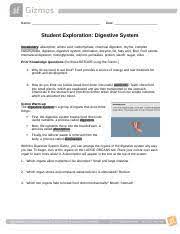 Amylase, proteases and lipases are enzymes that are important in digestion. Digestive System Gizmo Ws Editable Pdf Anita Brignacca Name April 15th 2019 Date Student Exploration Digestive System Vocabulary Absorption Amino Course Hero