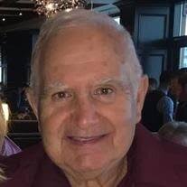 Mr. Armandino Verissimo Obituary