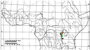 Image result for Odontosoria africana