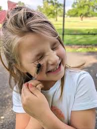 Thank you new followers, share cicada recipes and fun